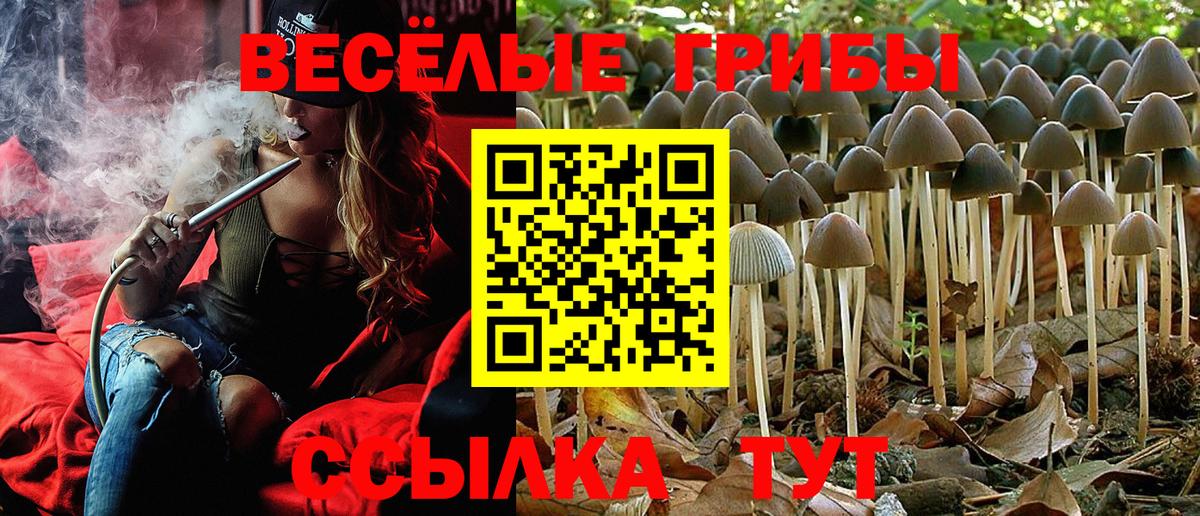 Серов  Галлюциногенные грибы Cubensis  Галлюциногенные грибы Psilocybine cubensis  Вход с VPN 